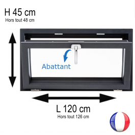 Fenêtre PVC abattant H 45 x L 120 cm anthracite avec poignée